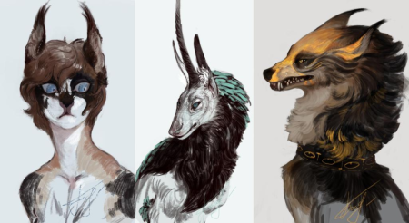 Шерсть референс