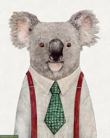 Животные в костюмах