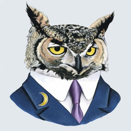 Костюм Совы