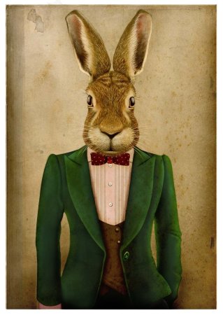 Костюм зайца