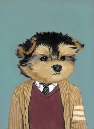 Животные в одежде арт