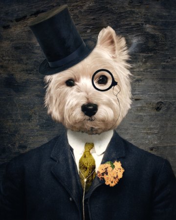 Животные в человеческой одежде