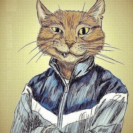 Кот в человеческой одежде