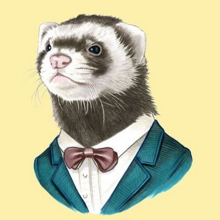 Хорек на аватарку