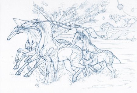 Животные из аватара раскраски