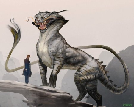 Нунду Гарри Поттер