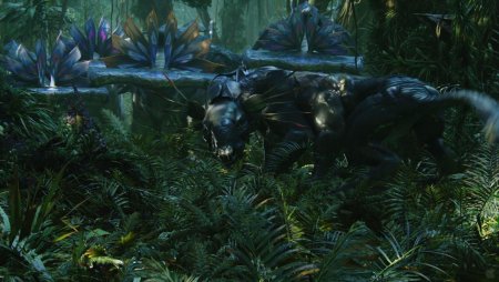 Пандора Танатор