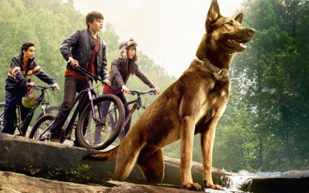 Макс фильм 2015