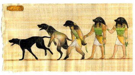 Собаки в древнем Египте