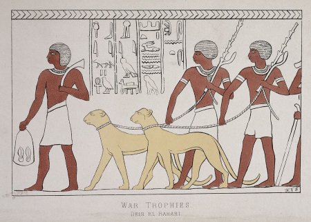 Басенджи египетских фресках