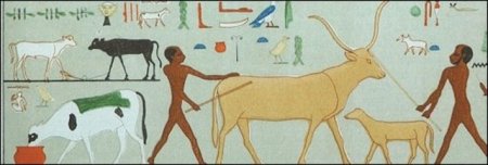 Скотоводство в древнем Египте