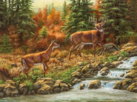 Американская художница Crista Forest картины