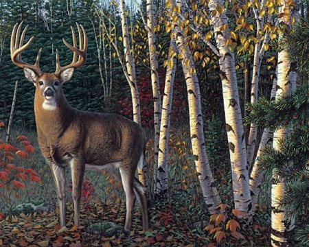 Лесной пейзаж с животными