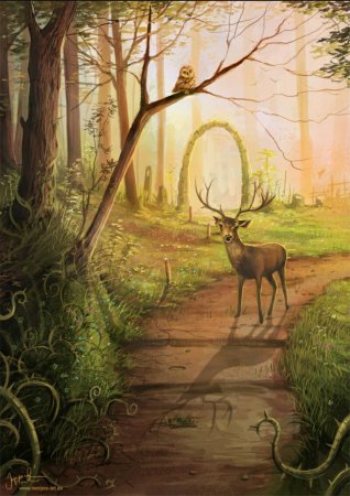 Лес иллюстрация