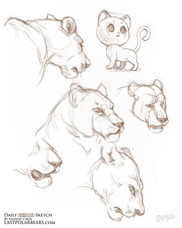 Животные Наброски