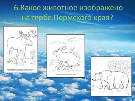 Рисунок животного Пермского края