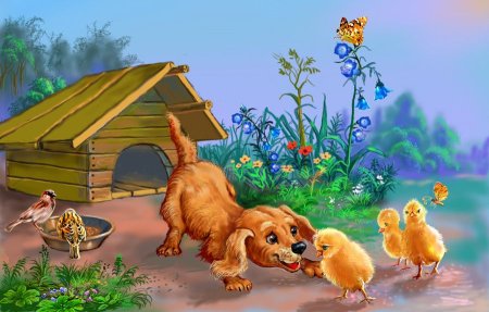 Животные во дворе