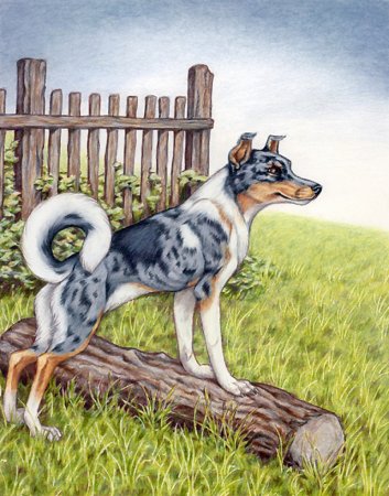 Деревенский двор