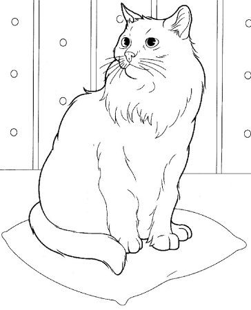 Кошка раскраска для детей