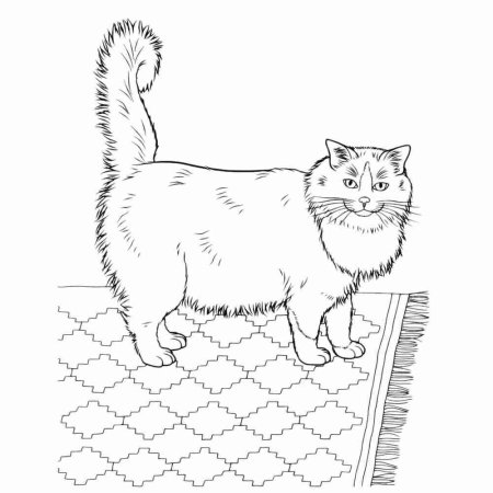 Кошки. Раскраска