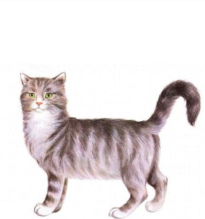Раскраска кошка с котятами