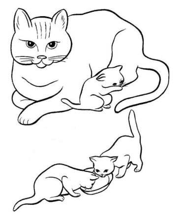 Раскраска домашняя кошка
