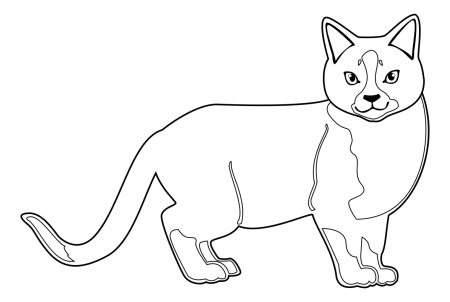 Кошка с котятами раскраска для детей