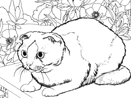 Раскраска кошка с котятами