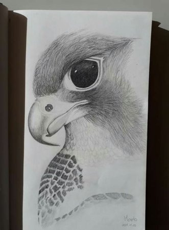 Рисунки для альбома карандашом