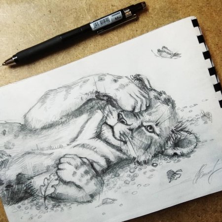 Красивые рисунки в альбом