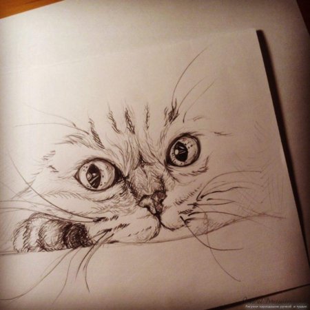 Рисунки для альбома карандашом