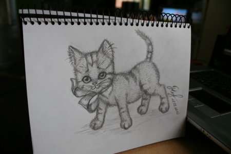 Рисунки для альбома карандашом