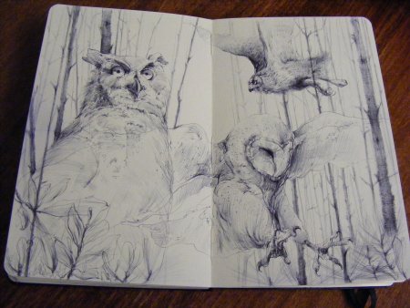 Скетчбуки художников