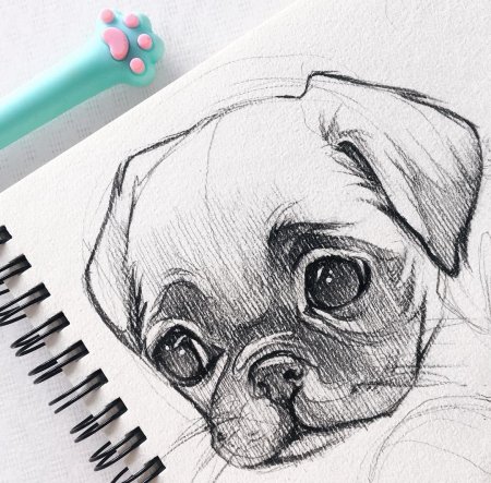 Милые рисунки животных кар