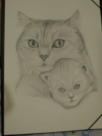 Интересные рисунки