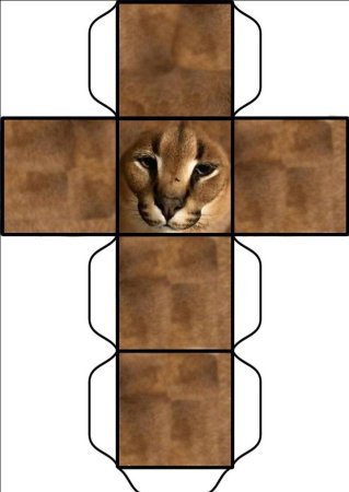 Шлёпа распечатка из бумаги