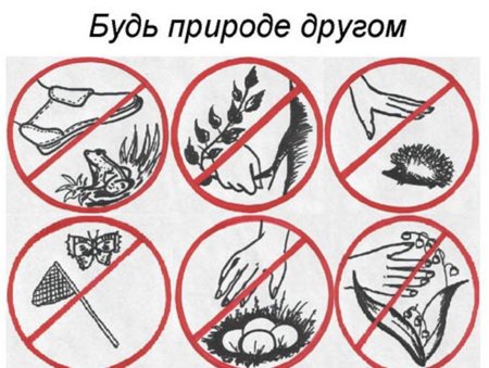 Знаки охраны природы