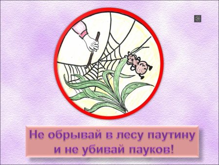 Знаки по охране животных