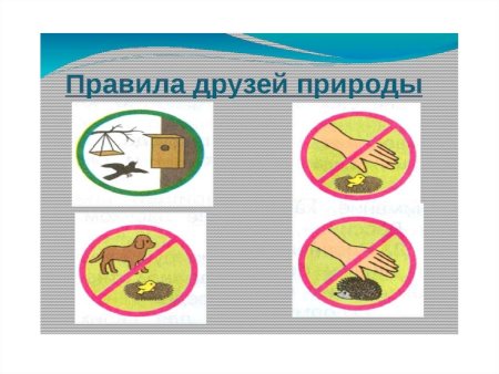 Знаки друзей природы