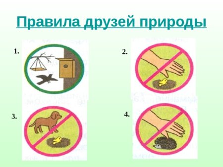 Поавило друзей природа