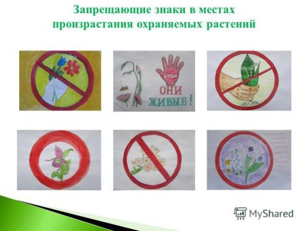 Береги растения