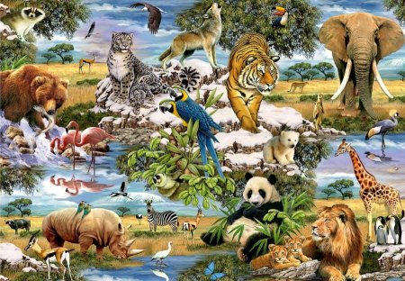 Множество животных