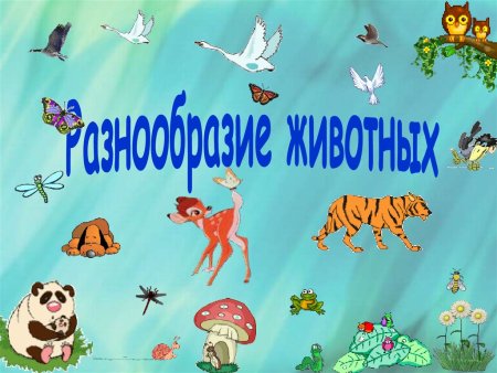 Разнообразие животных