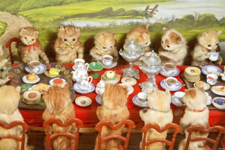 Чаепитие с котами