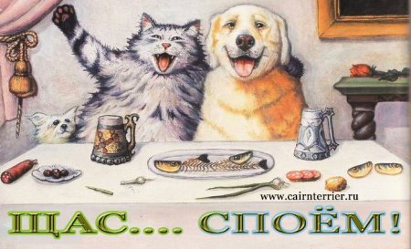 Степан Каширин художник коты