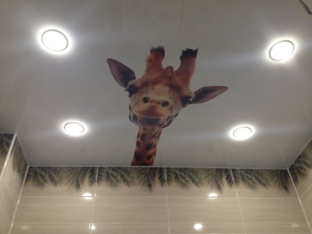 Потолок с фотопечатью в ванную