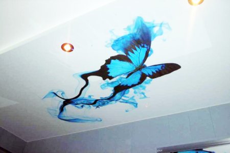 Натяжные потолки с рисунком бабочки