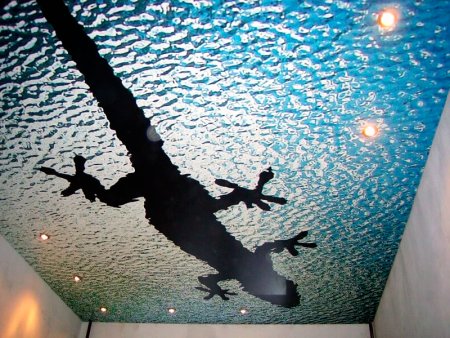 Натяжные потолки с рисунком 3д