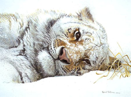 Robert Bateman анималистическая живопись