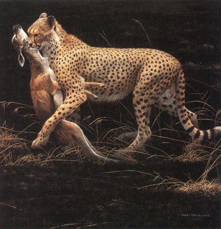 Художник анималист Robert Bateman